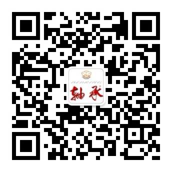 公司党委书记、董事长高元安一行赴西安效劳处开展专题调研-洛阳轴承