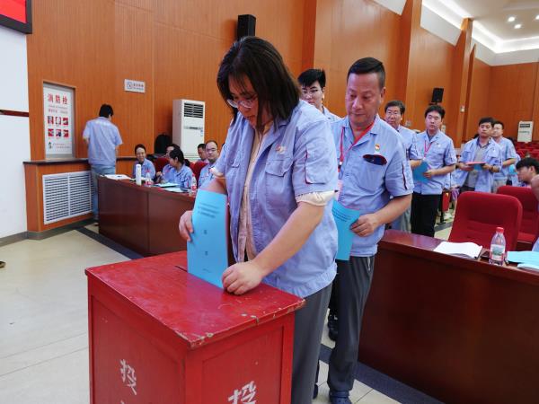 中国共产党洛阳轴承研究所有限公司党员大会胜利召开-洛阳轴承